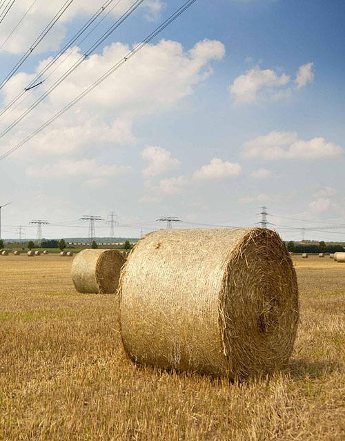 сетка для сена оптом в Минске